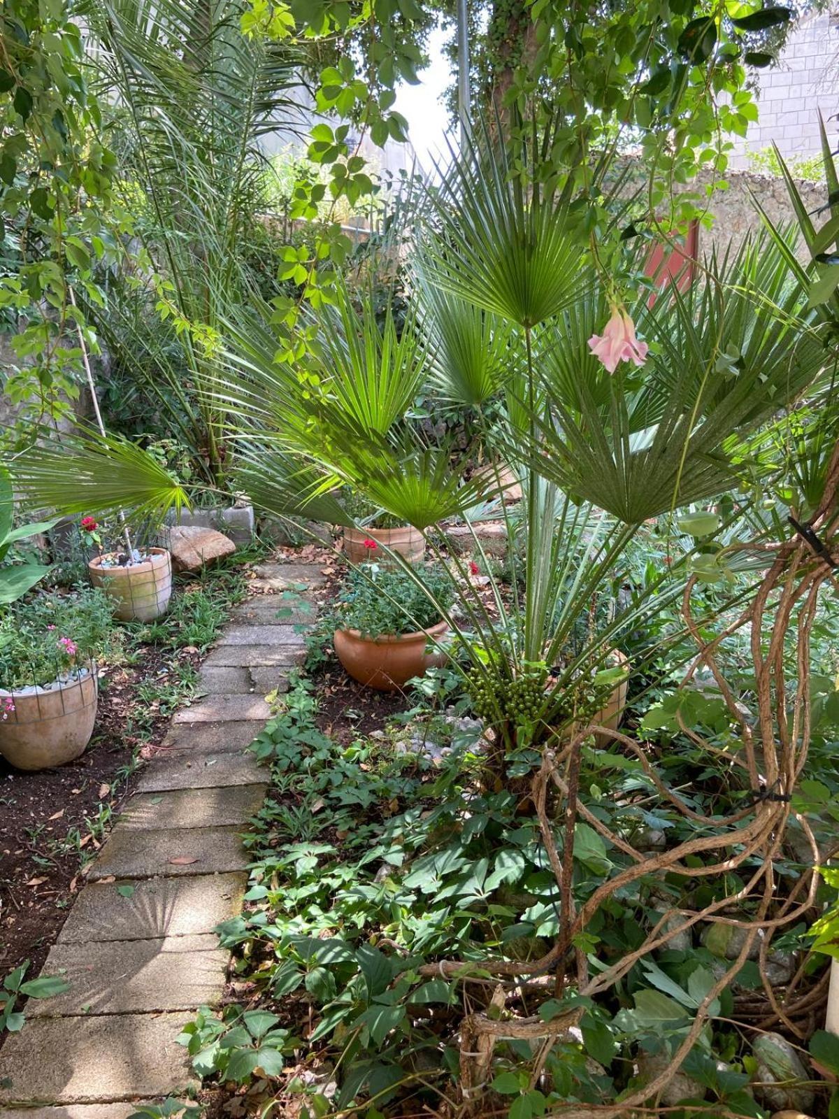 Gb Apartman Dubrovnik